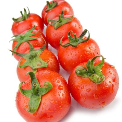 番茄无籽可以吃吗